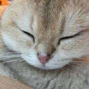 ヒメ日記 2025/11/17 20:00 投稿 もえ【性感】 性感エステBianca豊中店