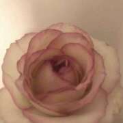 ヒメ日記 2026/02/07 01:09 投稿 もえ【性感】 性感エステBianca豊中店