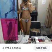 ヒメ日記 2025/08/11 03:07 投稿 エマ(奥方) 奥様幕府