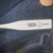 ヒメ日記 2025/08/14 14:17 投稿 エマ(奥方) 奥様幕府