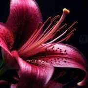 ヒメ日記 2025/08/16 13:14 投稿 早川かおり ウフフな40。ムフフな50。。（横浜ハレ系）