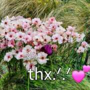 ヒメ日記 2025/08/22 12:33 投稿 早川かおり ウフフな40。ムフフな50。。（横浜ハレ系）