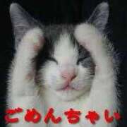 ヒメ日記 2025/10/04 13:32 投稿 早川かおり ウフフな40。ムフフな50。。（横浜ハレ系）