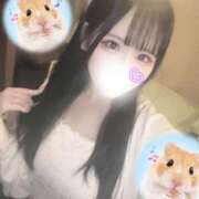 ヒメ日記 2026/06/11 11:18 投稿 ましろ・SP アニバーサリー