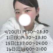 ヒメ日記 2026/04/19 23:15 投稿 みらい 男爵