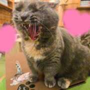 ヒメ日記 2025/08/30 13:30 投稿 ちなつ 錦糸町人妻セレブリティ（ユメオト）