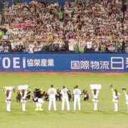 ヒメ日記 2025/09/30 09:18 投稿 るり 柏人妻花壇