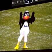 ヒメ日記 2026/06/01 16:05 投稿 るり 柏人妻花壇