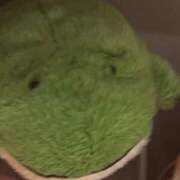 ヒメ日記 2025/08/26 21:18 投稿 りっか ちゃんこ本厚木店