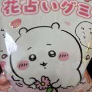 ヒメ日記 2025/10/30 17:09 投稿 りっか ちゃんこ本厚木店