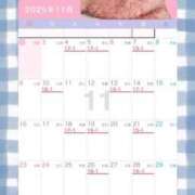 ヒメ日記 2025/11/03 07:59 投稿 りっか ちゃんこ本厚木店