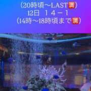 ヒメ日記 2025/12/09 21:36 投稿 りっか ちゃんこ本厚木店