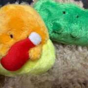 ヒメ日記 2025/12/17 10:20 投稿 りっか ちゃんこ本厚木店