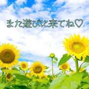 ヒメ日記 2025/08/30 21:20 投稿 みこと◆柔らかオーラ全開♪ エピソード倉敷
