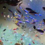 ヒメ日記 2025/09/11 11:00 投稿 みこと◆柔らかオーラ全開♪ エピソード倉敷