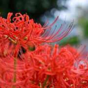 ヒメ日記 2025/09/30 10:00 投稿 みこと◆柔らかオーラ全開♪ エピソード倉敷