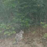 ヒメ日記 2025/10/09 11:00 投稿 みこと◆柔らかオーラ全開♪ エピソード倉敷