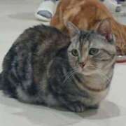 ヒメ日記 2025/11/11 11:00 投稿 みこと◆柔らかオーラ全開♪ エピソード倉敷