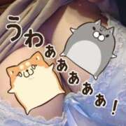 さえ 予定変更のお知らせ ちゃんこ長野塩尻北IC店