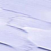 コトネ 🈳12月前半のご案内🍀* ゚ 人妻生レンタル