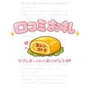 ヒメ日記 2026/01/01 11:40 投稿 コトネ 人妻生レンタル