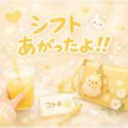 ヒメ日記 2026/01/08 20:21 投稿 コトネ 人妻生レンタル