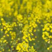 ヒメ日記 2026/04/20 14:08 投稿 倉持　なほみ エテルナ京都