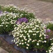 ヒメ日記 2026/04/28 21:43 投稿 つづり 熟女デリヘル秘宝館Z