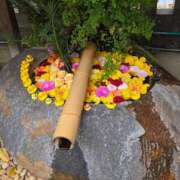 ヒメ日記 2025/11/07 19:38 投稿 オリビア 熟女デリヘル倶楽部