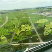 ヒメ日記 2025/08/22 20:53 投稿 こはく 熟女の風俗最終章 所沢店