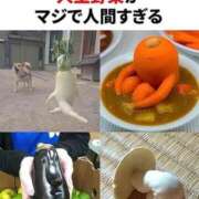 ヒメ日記 2025/08/23 08:43 投稿 こはく 熟女の風俗最終章 所沢店