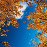 ヒメ日記 2025/10/29 09:00 投稿 由希奈-ゆきな【FG系列】 ほんとうの人妻 厚木店【FG系列】