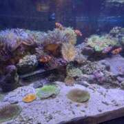 由希奈-ゆきな【FG系列】 11月度ありがとうございました❣️ ほんとうの人妻 厚木店【FG系列】