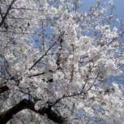 ヒメ日記 2026/04/05 20:39 投稿 由希奈-ゆきな【FG系列】 ほんとうの人妻 厚木店【FG系列】