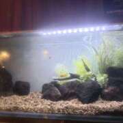 ヒメ日記 2026/04/15 16:55 投稿 由希奈-ゆきな【FG系列】 ほんとうの人妻 厚木店【FG系列】