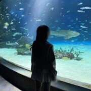 ヒメ日記 2025/12/23 21:46 投稿 みるる E+アイドルスクール