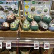 ヒメ日記 2025/09/13 10:35 投稿 霧島 華恋人(カレント)