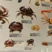 ヒメ日記 2025/10/05 14:37 投稿 霧島 華恋人(カレント)