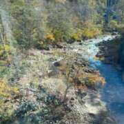 ヒメ日記 2025/12/21 10:16 投稿 霧島 華恋人(カレント)