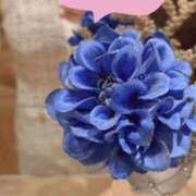 ヒメ日記 2025/08/21 20:52 投稿 音羽 さくら☆2 TiAmo（ティアモ）