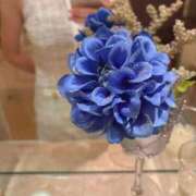 ヒメ日記 2025/09/05 08:22 投稿 音羽 さくら☆2 TiAmo（ティアモ）