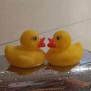 ヒメ日記 2025/09/16 16:42 投稿 ねね 君とふわふわプリンセスin立川