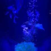 ヒメ日記 2025/09/20 12:03 投稿 ねね 君とふわふわプリンセスin立川