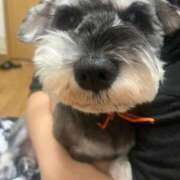 ヒメ日記 2025/10/01 15:42 投稿 ねね 君とふわふわプリンセスin立川