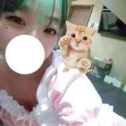 ねね お久しぶりなのでは…？？ 君とふわふわプリンセスin立川