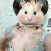 ふたば 出勤 X-PARTY