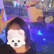 かごめ 出勤 プロフィール 京都店