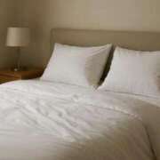 ヒメ日記 2026/01/29 17:20 投稿 朝霧しの 渋谷エオス