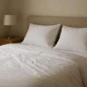 ヒメ日記 2026/02/03 20:51 投稿 朝霧しの 渋谷エオス