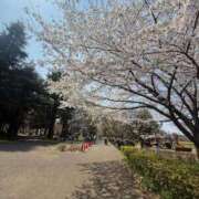 ヒメ日記 2026/04/02 14:50 投稿 朝霧しの 渋谷エオス